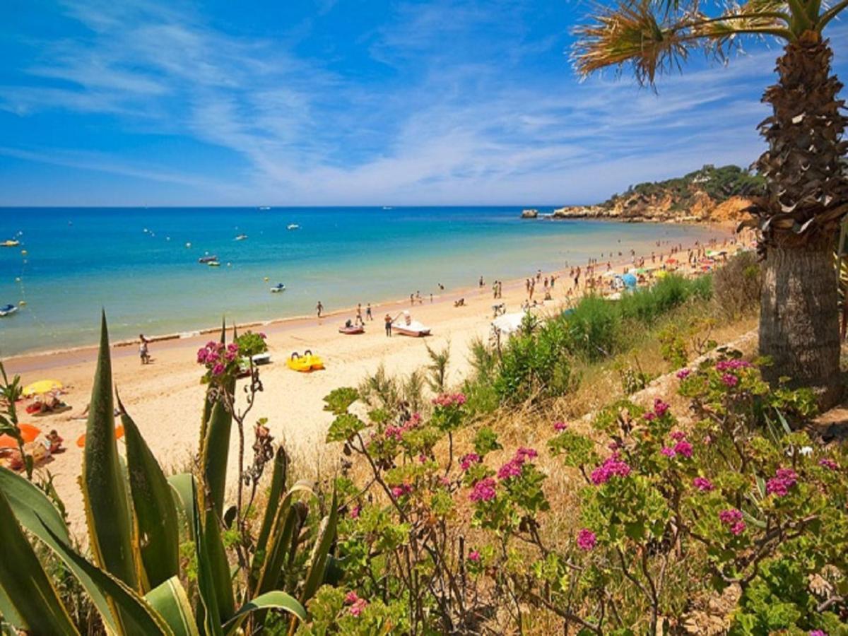 V4, Villa Jardins Branqueira Near Beach, Albufeira Exteriör bild